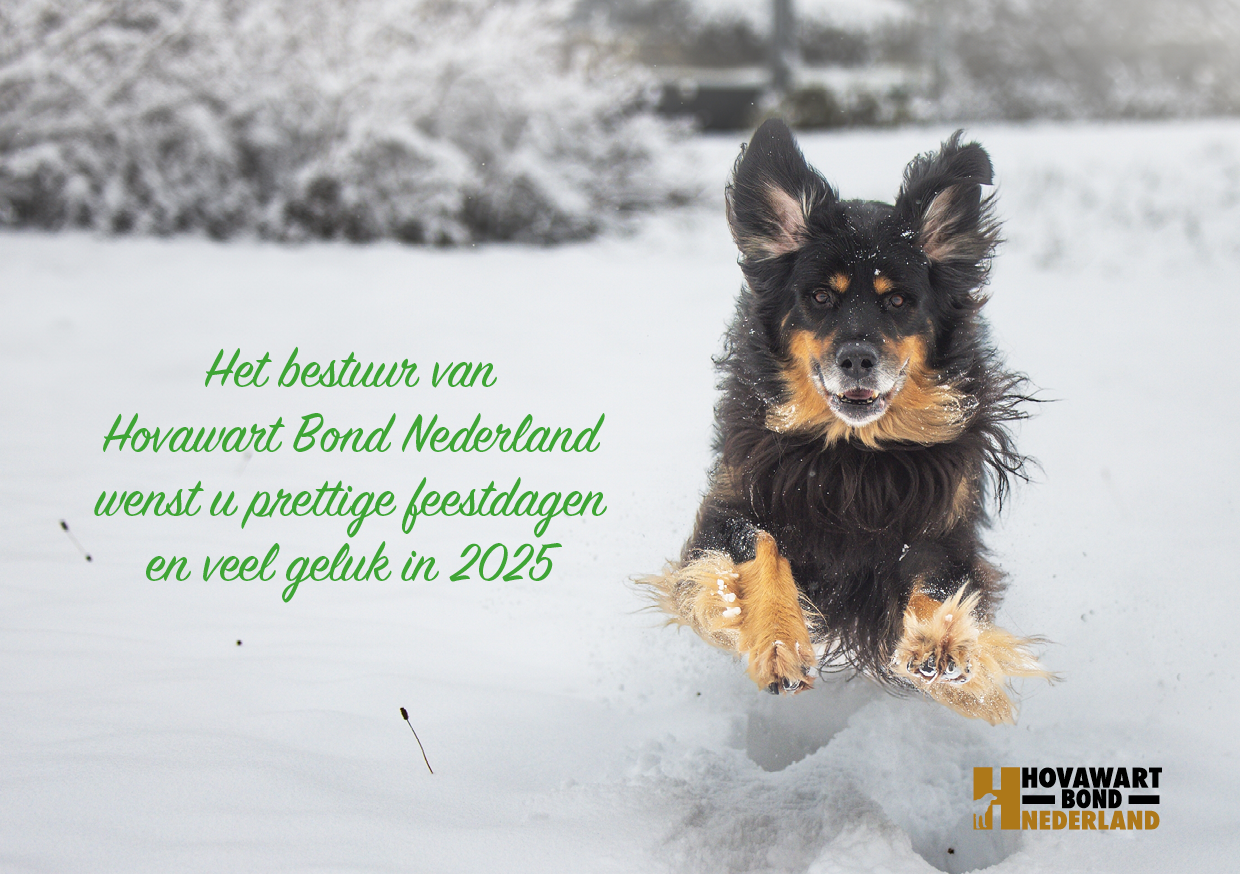 Kerstgroet 2024